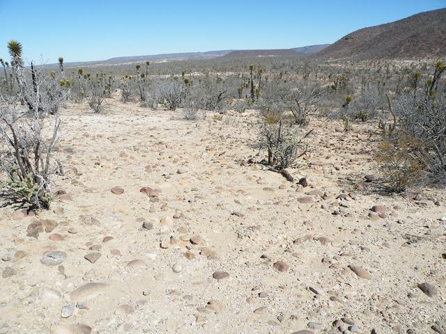 El Vizcaíno Biosphere Reserve